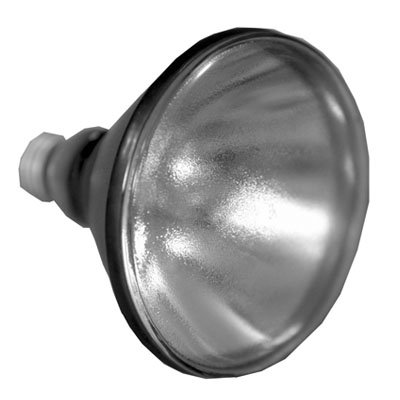 UV BULB 100W