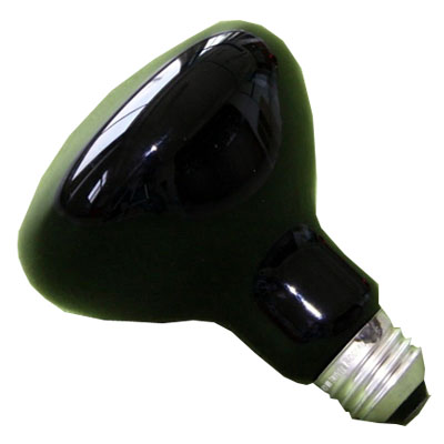 UV BULB 50W